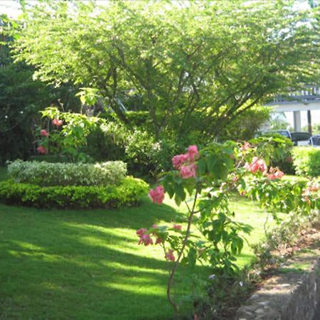 Paradise Brandon Hill Guest House Montego Bay Zewnętrze zdjęcie