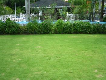 Paradise Brandon Hill Guest House Montego Bay Zewnętrze zdjęcie